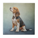 Search for dog breeds tiles Canine