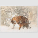Search for jungle tissue paper Tiger