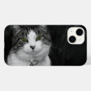 Search for eye iphone cases Siamese