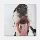 Search for mouths magnets Close up