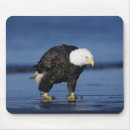 Search for forest walk mousepads Nature