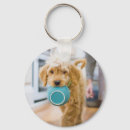 Search for goldendoodle key rings Animal