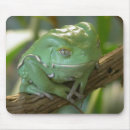 Search for frog electronics Leaves