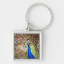 Search for display key rings Close up