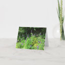 Search for nature note cards Flower