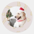 Search for bone stickers Dog bones