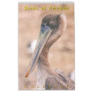 Search for pelican calendars Animals