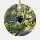 Search for black bear christmas tree decorations Forest