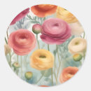 Search for ranunculus stickers Watercolor