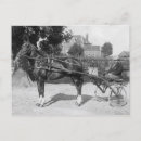 Search for horse sports postcards Harness racing