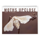 Search for moth calendars Nature