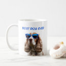 Search for springer spaniel Pets