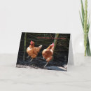 Search for chicken dance cards Chickens