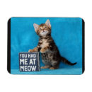 Search for meow photography Funny