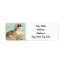 Search for cute kitten return address labels Pink