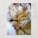 Search for cuddle photography Cute