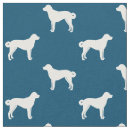 Search for anatolian shepherd Dog