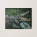 Search for alligator puzzles Dangerous