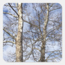 Search for winter sky stickers Blue