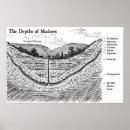 Search for madness posters Motivational