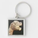 Search for anglo saxon key rings Gaulish