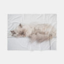 Search for longhair photography Persian