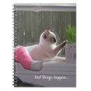 Search for bad notebooks Cat