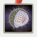 Search for virus christmas tree decorations Herpes