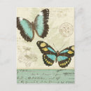 Search for bug collage postcards Butterflies