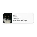Search for black and white cat return address labels Pet