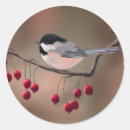 Search for twig stickers Branch