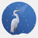 Search for egret stickers Wild