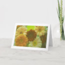 Search for yellow daisy flower cards Daisies
