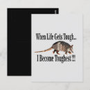 Search for armadillo postcards Illustration