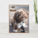 Search for from child cards Mother
