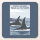 Search for whales coasters Orca