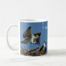 Search for osprey mugs Birds of prey
