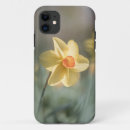 Search for daffodil iphone cases Jonquil