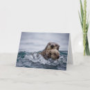 Search for otter cards Marine life