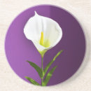 Search for cala lily Floral