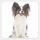 Search for papillon dog stickers Puppy
