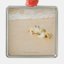 Search for outdoors christmas tree decorations Nature