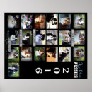 Search for aussie shepherd posters Blue