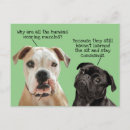 Search for muzzle Funny