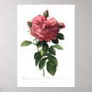 Search for flores posters Vintage