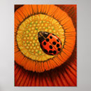 Search for lady bug posters Flower