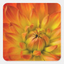 Search for photographic stickers Flower