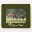Search for draught electronics Clydesdales