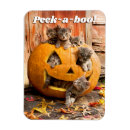 Search for jackolantern magnets Humor