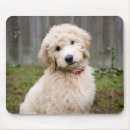 Search for mixed mousepads Pet
